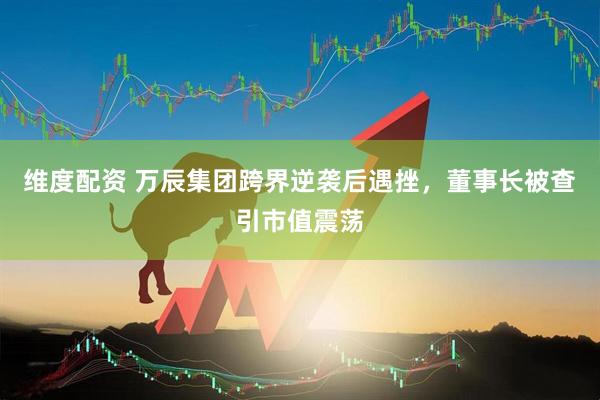 维度配资 万辰集团跨界逆袭后遇挫，董事长被查引市值震荡