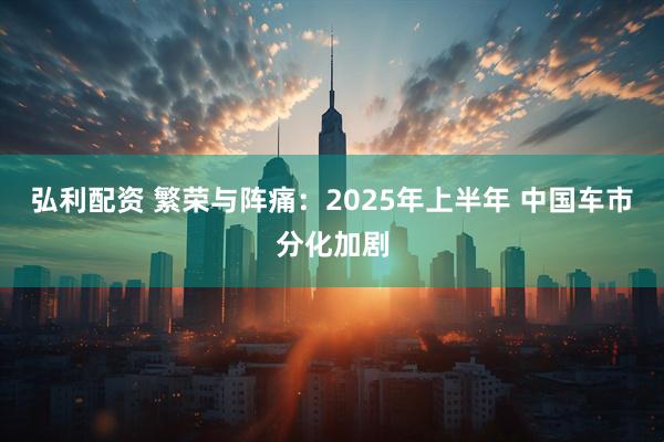 弘利配资 繁荣与阵痛：2025年上半年 中国车市分化加剧