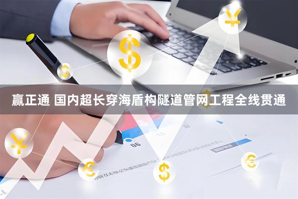 赢正通 国内超长穿海盾构隧道管网工程全线贯通