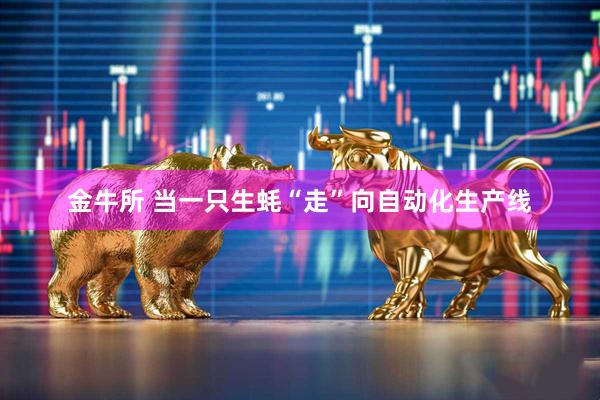 金牛所 当一只生蚝“走”向自动化生产线