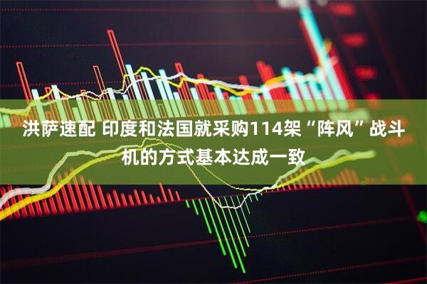 洪萨速配 印度和法国就采购114架“阵风”战斗机的方式基本达成一致