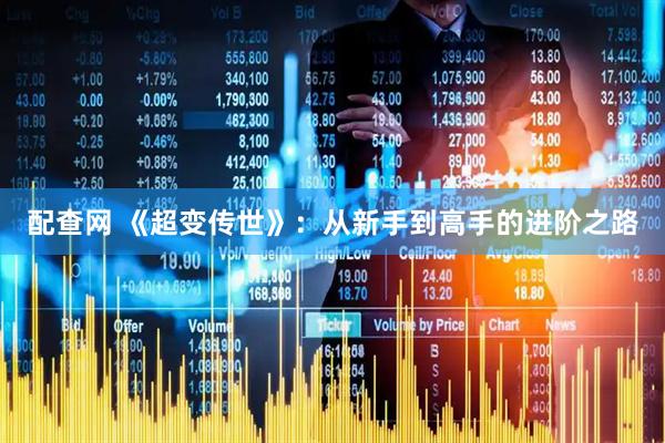 配查网 《超变传世》：从新手到高手的进阶之路