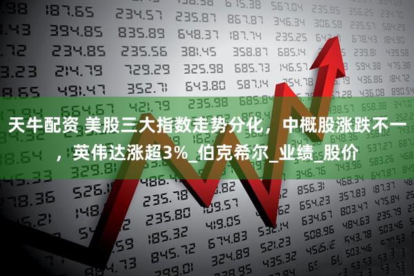 天牛配资 美股三大指数走势分化，中概股涨跌不一，英伟达涨超3%_伯克希尔_业绩_股价