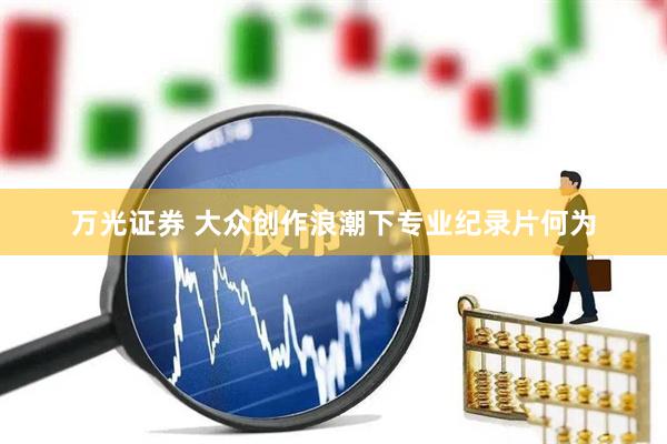 万光证券 大众创作浪潮下专业纪录片何为